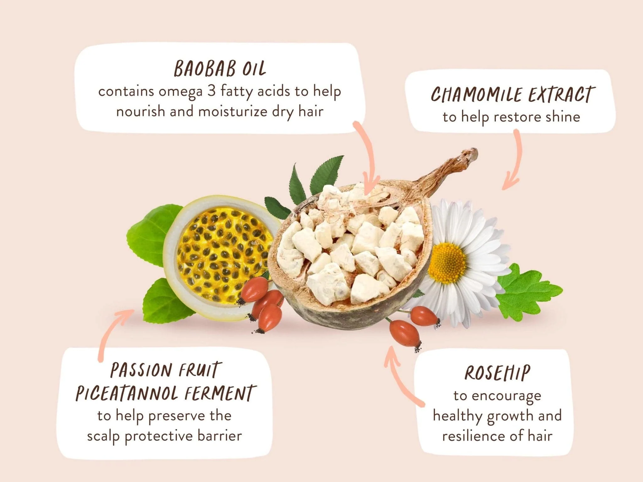 Defining Conditioner for Curly, Frizzy hair - Image 6