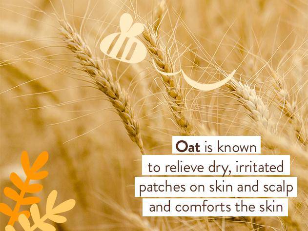 Moisturizing Oat & Calendula Miracle Face Cream - Image 6