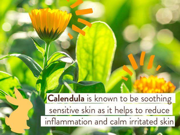 Moisturizing Oat & Calendula Bubble Bath & Wash Duo - Image 8