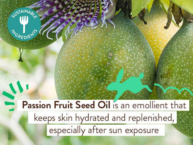 Swim & Sport Citrus Mint & Passion Fruit Conditioner - Image 4