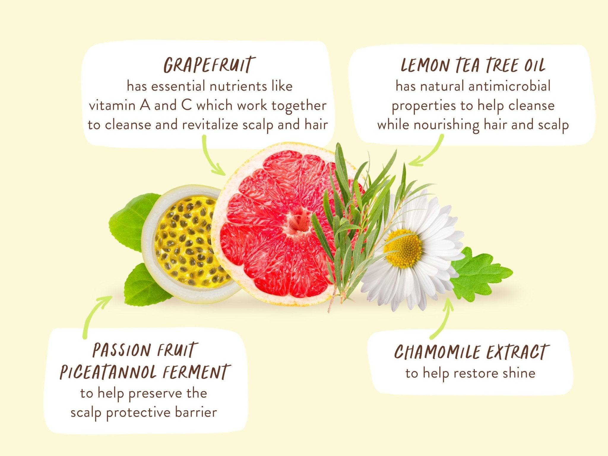 Purifying Shampoo for Flat, Oily hair - Image 6