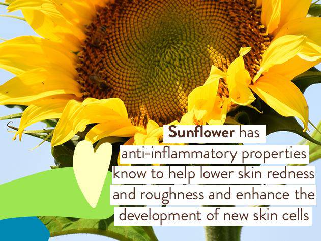 Sensitive Baby Mineral Sunscreen SPF50 Set - Image 5