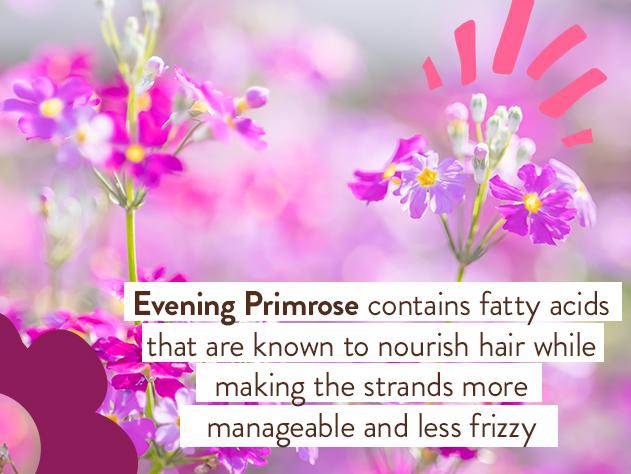 Smoothing Berry & Primrose Shampoo & Wash - 32oz - Image 5