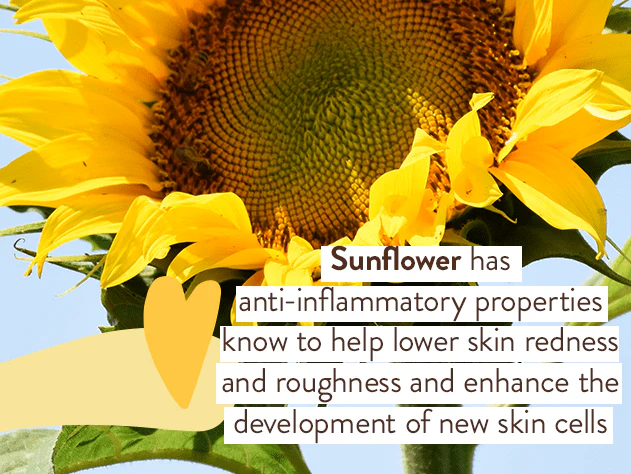 Swim & Sport Mineral Sunscreen Balm SPF50 - Image 11